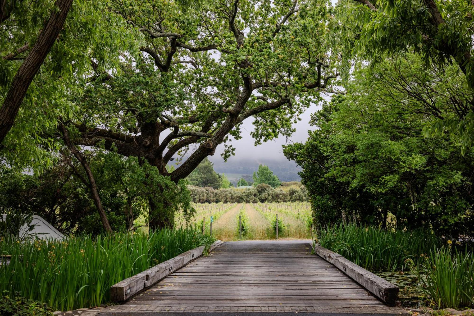 Grande Provence Ξενοδοχείο Franschhoek Εξωτερικό φωτογραφία